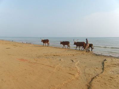 Bild Golden Beach bei Kigoma